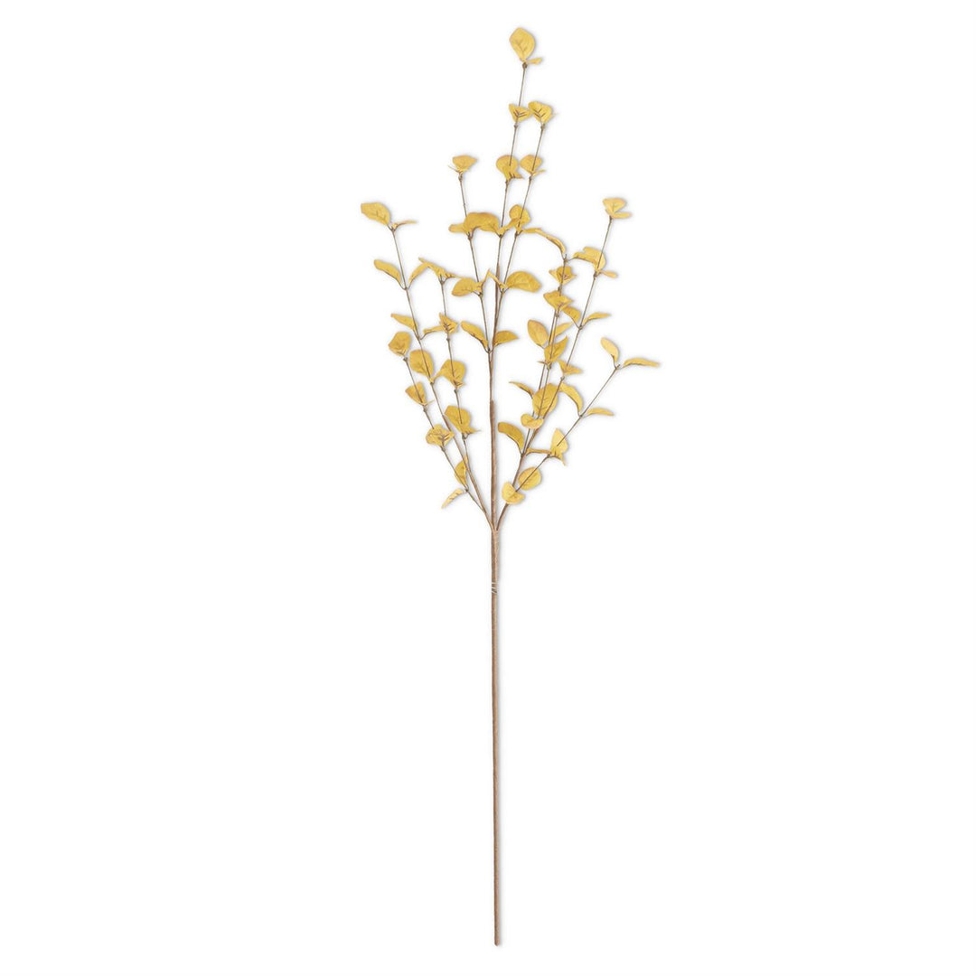 Yellow Eucalyptus Stem