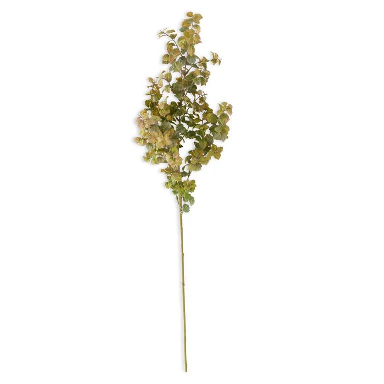 Powered Green Mint Leaf Spray