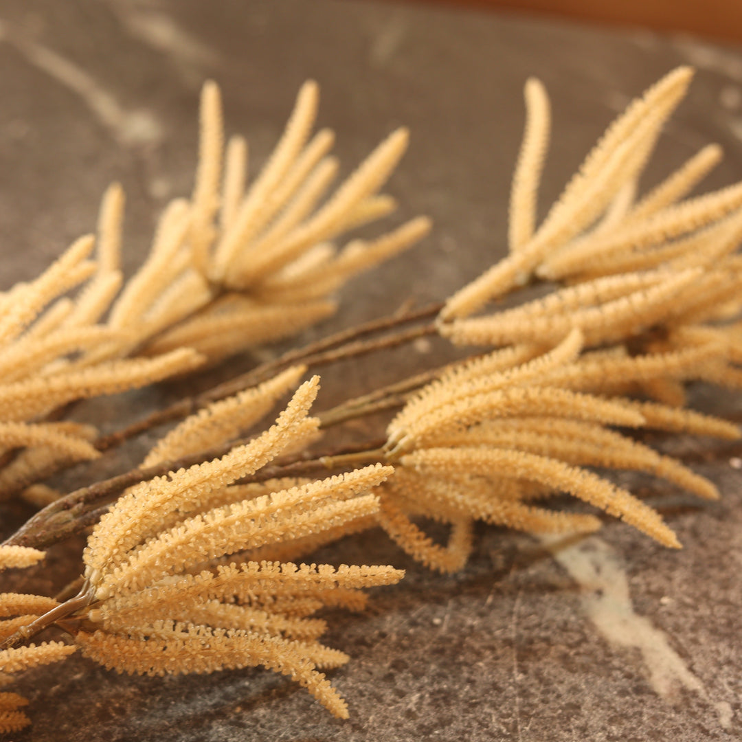 Catkin Cream Stem