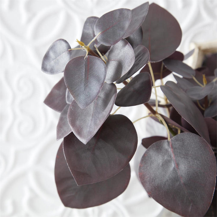 Burgundy Flat Leaf Eucalyptus