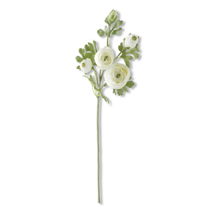 White Real Touch 5 Head Ranunculus Stem