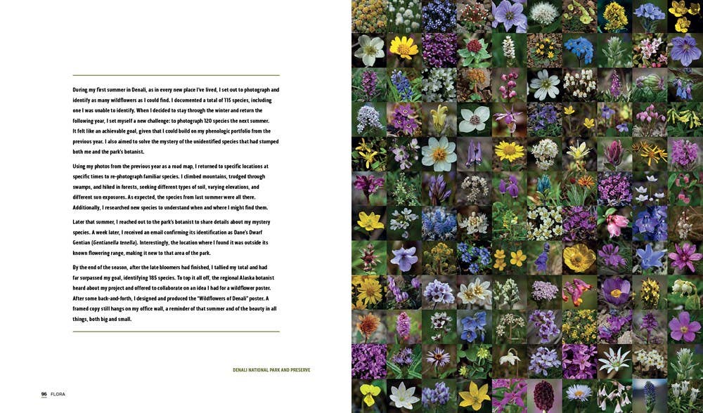 Parklands: America’s National Parks and Public Lands