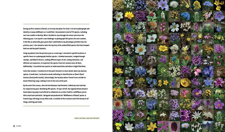 Parklands: America’s National Parks and Public Lands