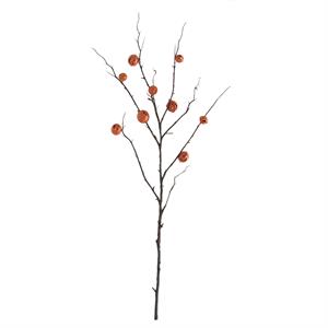 Orange Jack O Lantern Pumpkin Stem