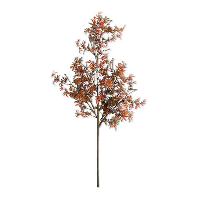 Japanese Maple Stem