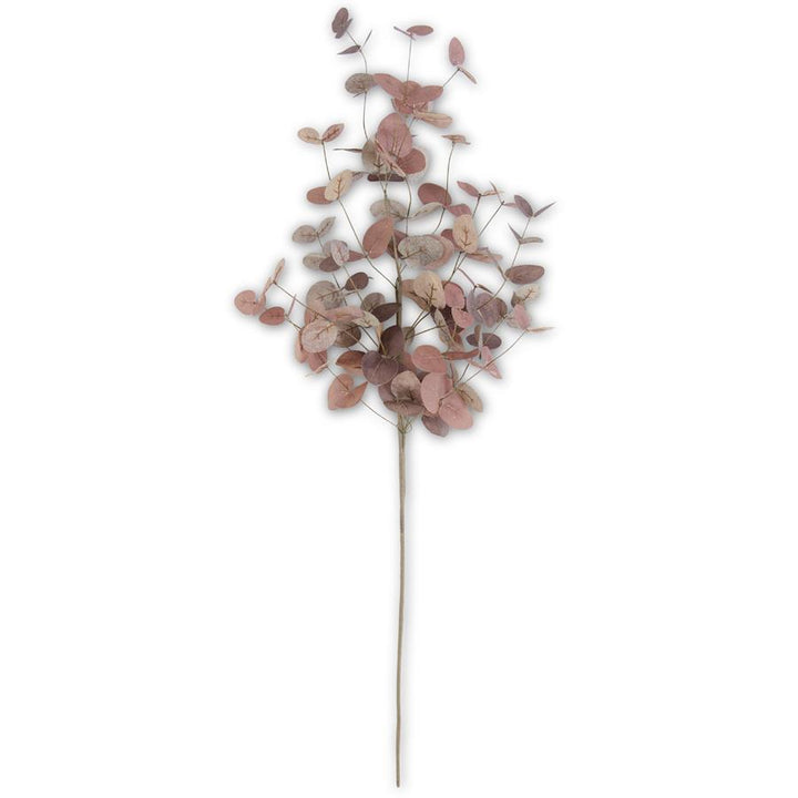 Two-Tone Eucalyptus Stem