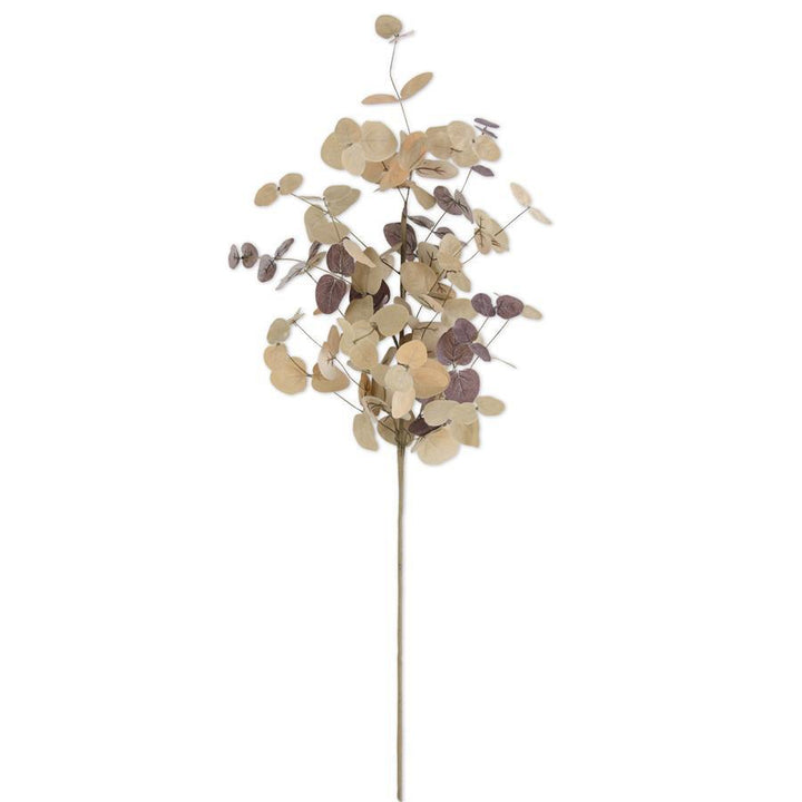Two-Tone Eucalyptus Stem