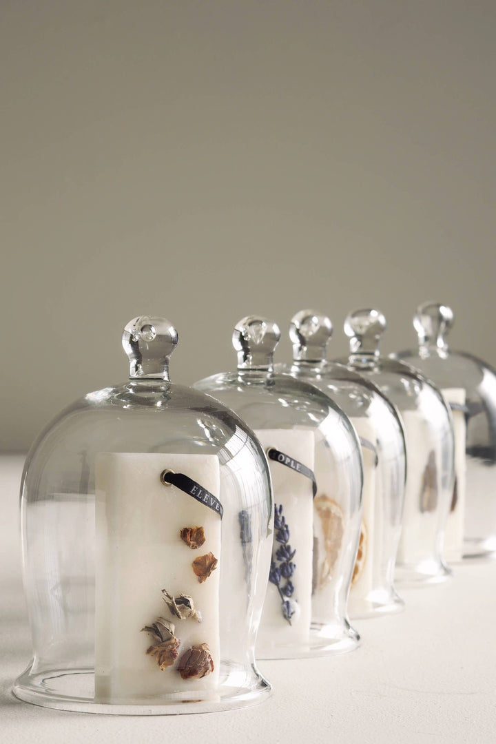 Elegant Glass Dome Decorative Tabletop Object