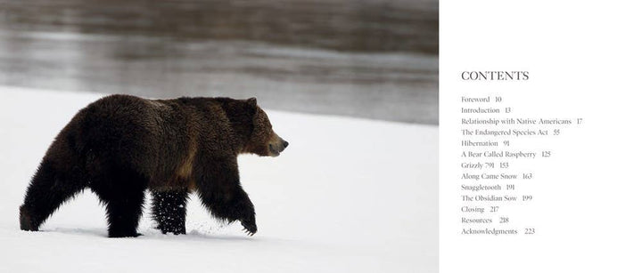 Bears: The Mighty Grizzlies of the West