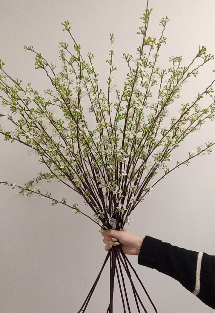 White Hoary Willow Spray
