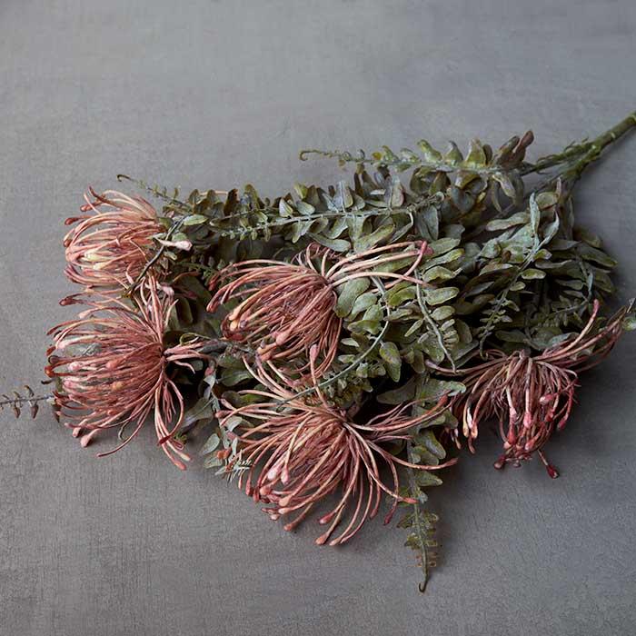 Leucospermum Bush