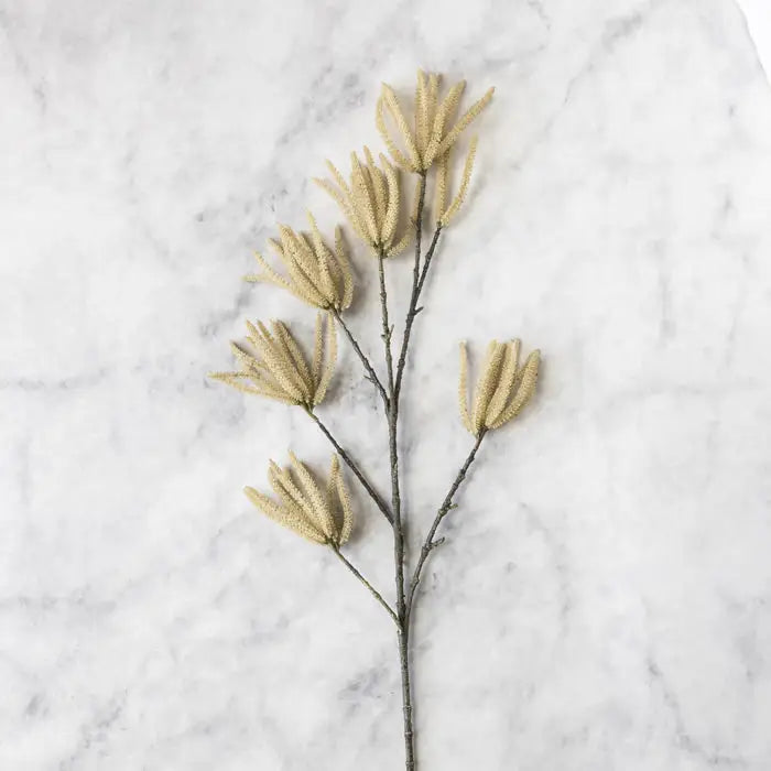 Catkin Cream Stem
