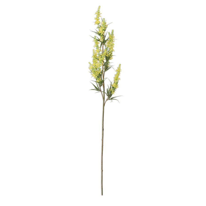 Yellow Golden Rod Stem