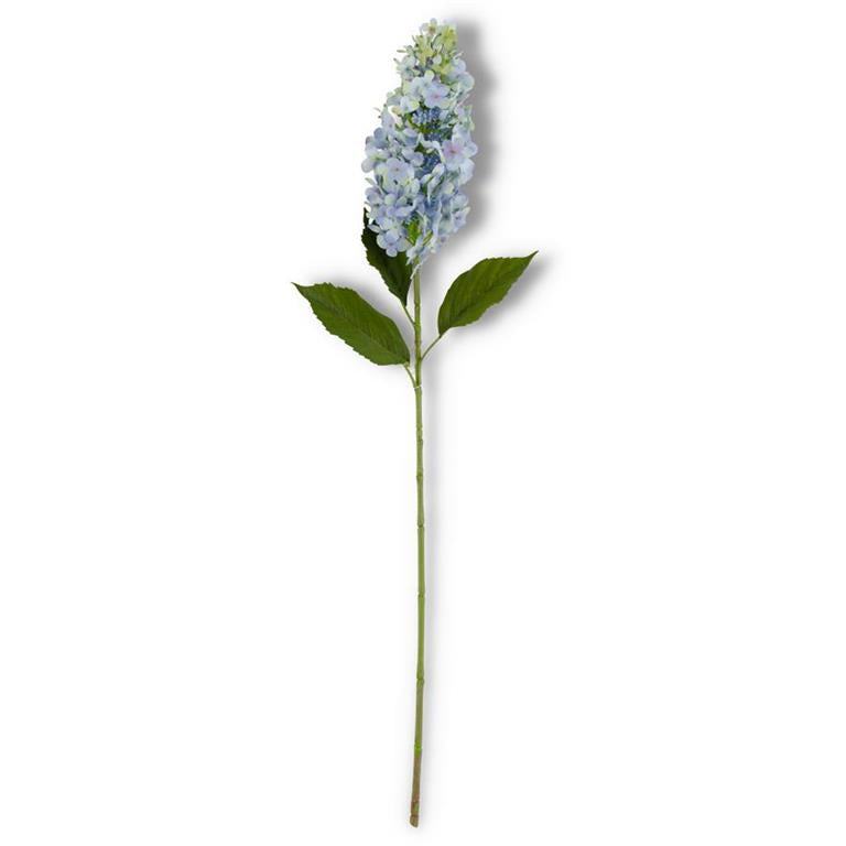 Blue Cone Hydrangea Stem