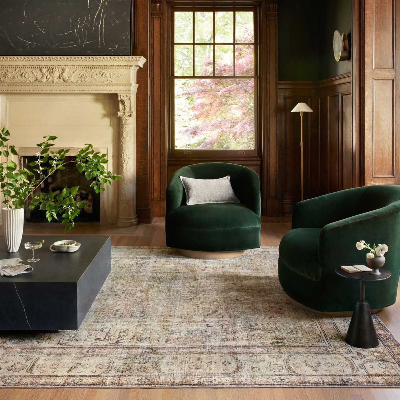 Arlo Antique / Sage Rug