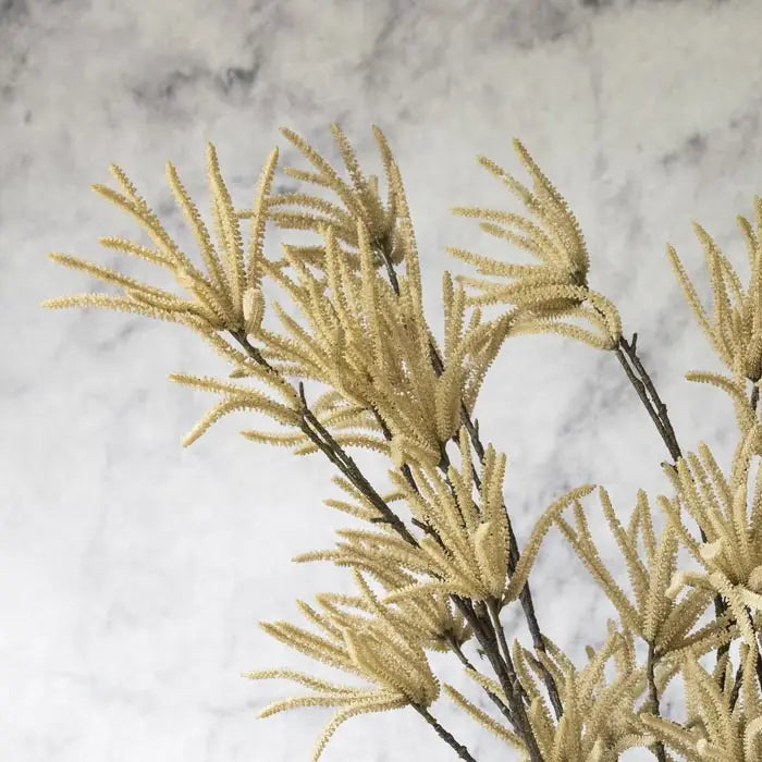 Catkin Cream Stem