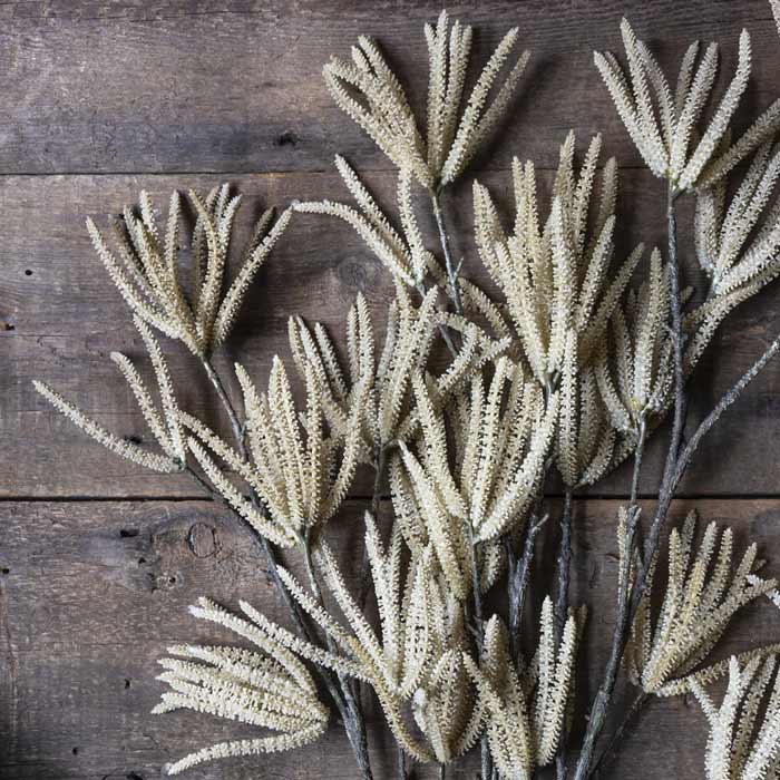 Catkin Cream Stem