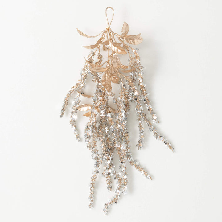 Fancy Amaranthus Vine